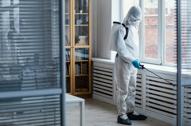 Professional disinfection service in action